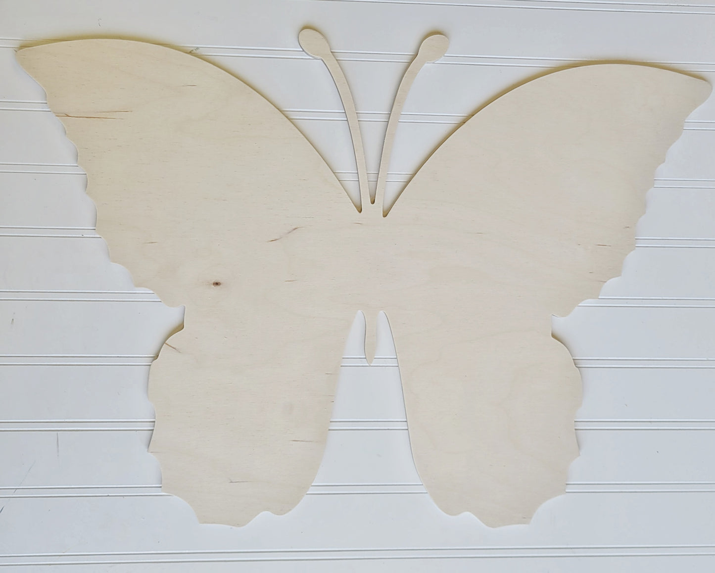 Butterfly 3D Blank
